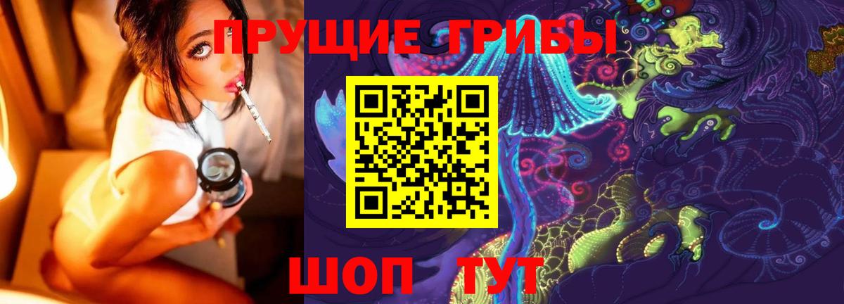 Тайшет  Псилоцибиновые грибы мицелий  Вход с VPN 